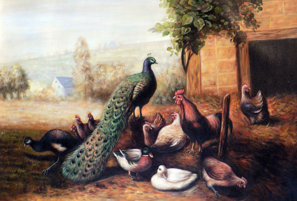 Peacock